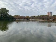 -翠湖宾馆·中餐厅