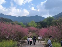 -广州市石门国家森林公园
