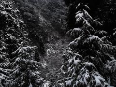 -九峰山