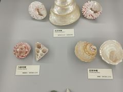 -天津古林古海岸遗迹博物馆