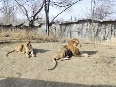 -北京野生动物园