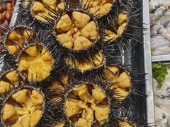 -渔码头食府(蓬莱阁店)