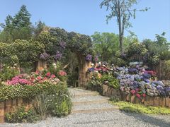 -苏州上方山国家森林公园