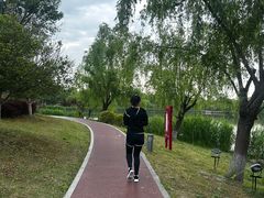 -九科绿洲