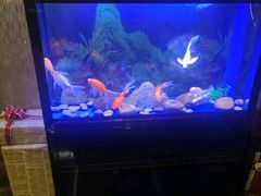 -宜昌富力皇冠假日酒店·咖啡1号西餐厅