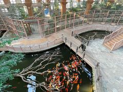 -南宫五洲植物乐园