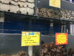 -蚝专家(北滘店)