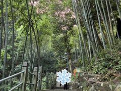 -灵顺寺