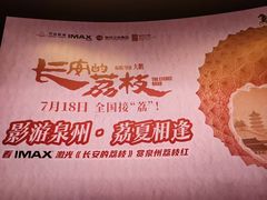 -万达影城(浦西万达广场激光IMAX店)