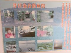-金台阶鱼馆(于桥水库店)