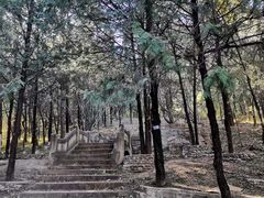 -北京鹫峰国家森林公园