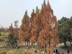 -白鹭湾湿地公园