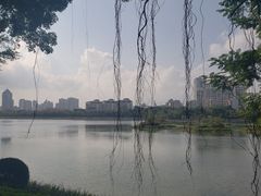 -南宁南湖公园