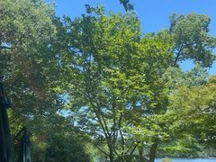 -浙江西子宾馆·瑶园咖啡厅