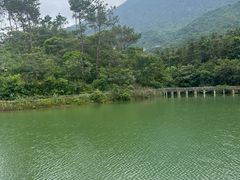 -牛鱼嘴原始生态风景区