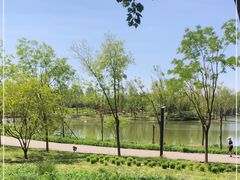 -东郊湿地公园