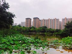 -木塔寺遗址生态公园