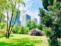 -长春公园(普阳街道)