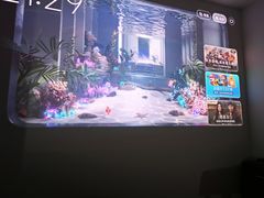 -JMGO坚果投影(长宁龙之梦店)