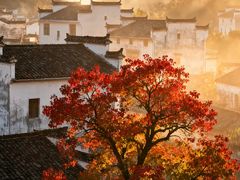 -塔川景区