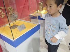 -上海昆虫博物馆