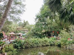 -海南热带野生动植物园