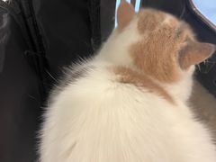 -萌兽医馆·犬猫专科·眼科中心·宠物医院(朝阳门分院)