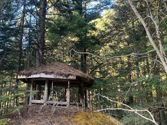 -黄龙山原始森林景区