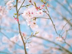 -鱼凫人家