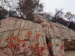 -北京西山国家森林公园