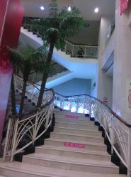 -五洲妇儿医院