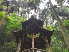 -青城山