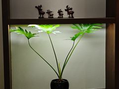 -九福楼大酒店