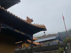 -普陀山风景名胜区-法雨禅寺