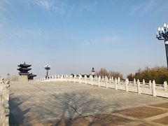 -洛阳市隋唐城遗址植物园