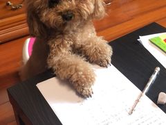 -虹梅食堂·爱蝦乃家