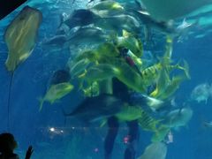 -常州海昌海洋探索馆