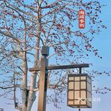 乌船悠悠～记得去大港码头租条船游乡里，人均30元全程一个小时