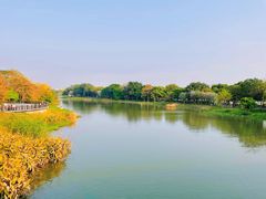 -海珠湖公园