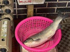 -古城苗家土菜馆(河景餐厅店)