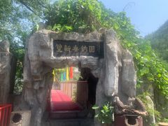 -双新垂钓园