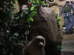 -游龙石文化科普馆