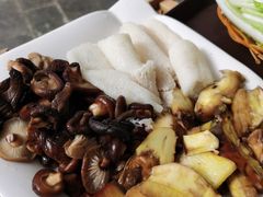 -蘑统田下·野生菌火锅