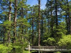 -瓦屋山景区