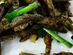 -品雅轩农家乐