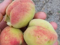 -麦园农庄·西江河鲜