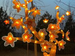 -南宫五洲植物乐园