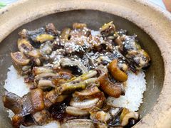 招牌黄鳝煲仔饭-红星光发煲仔饭(大石街店)