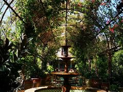 -The Grounds of Alexandria