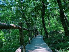 -北京上方山国家森林公园